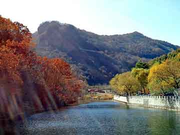 管家婆黑白马报图库，午夜僵尸头